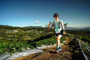 BIB: 
                            <button type="button" onclick="openModal(19121717)" class="btn btn-primary btn-sm float-right btn-popup" data-toggle="modal" data-target=".modal-high-quality">
                        <i class="fas fa-shopping-cart"></i> Add to Cart
                    </button>
                                            <button type="button" onclick="isThisMe(19121717, true)" class="btn btn-success btn-sm float-right btn-popup btn-isme hidden" data-toggle="tooltip" data-placement="bottom" title="นี่คือรูปของคุณใช่ไหม คลิกที่นี่เพื่อเอาเข้าอัลบั้ม">
                        <i class="fas fa-plus"></i> Add to album
                    </button>
                    <button type="button" onclick="isThisMe(19121717, false)" class="btn btn-warning btn-sm float-right btn-popup btn-isnotme hidden">
                        <i class="fas fa-ban"></i> Remove from album
                    </button>